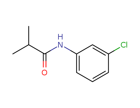 N-(3-chlorophenyl)-2-methyl-propanamide cas  7017-17-6