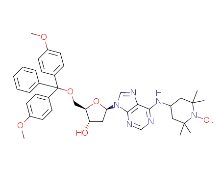 5'-O-(4,4'-Dimethoxytrityl)-N<sup>6</sup>-(1-oxyl-2,2,6,6-tetramethyl-4-piperidinyl)-2'-deoxyadenosine
