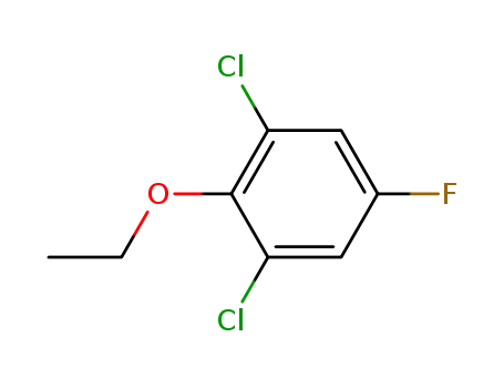 Molecular Structure of 1026397-39-6 (1,3-dichloro-2-ethoxy-5-fluoro-benzene)