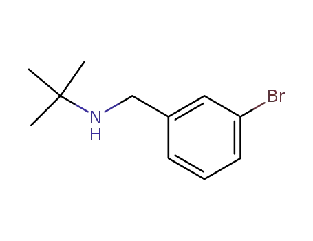 Molecular Structure of 133042-85-0 (N-(3-bromobenzyl)-N-(tert-butyl)amine)