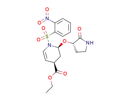 (2S,4R)-1-(2-Nitro-benzenesulfonyl)-2-((S)-2-oxo-pyrrolidin-3-yloxy)-1,2,3,4-tetrahydro-pyridine-4-carboxylic acid ethyl ester
