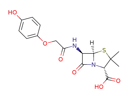 4-하이드록시페니실린 V
