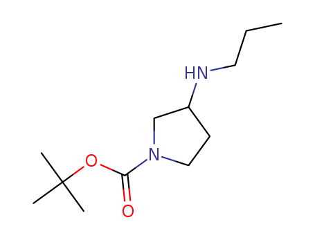3-PROPYLAMINO-PYRROLIDINE-1-CARBOXYLIC ACID TERT-BUTYL ESTER