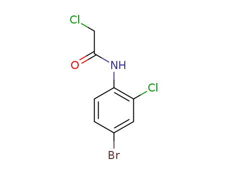 N-(4-bromo-2-chlorophenyl)-2-chloroacetamide(SALTDATA: FREE)