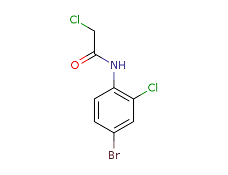 N- (4- 브로 모 -2- 클로로 페닐) -2- 클로로 아세트 아미드