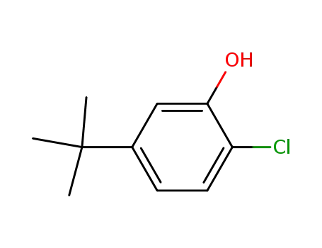 5-tert-부틸-2-클로로페놀