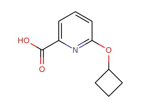 6-Cyclobutoxypyridine-2-carboxylic acid