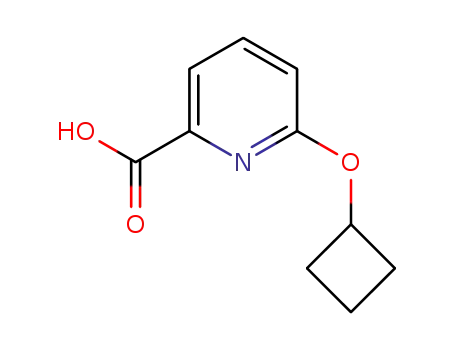 Molecular Structure of 1250298-25-9 (6-Cyclobutoxypyridine-2-carboxylic acid)
