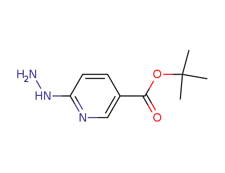 Molecular Structure of 163213-19-2 (3-Pyridinecarboxylicacid,6-hydrazino-,1,1-dimethylethylester(9CI))
