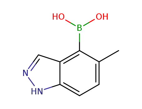 Molecular Structure of 1245816-10-7 (5-methyl-1H-indazol-4-yl-4-boronic acid)
