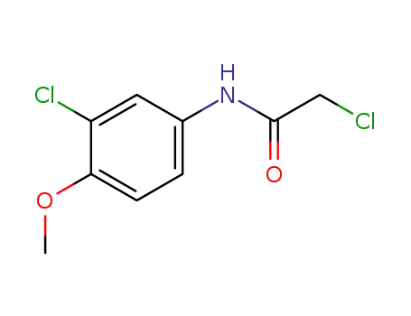 Molecular Structure of 7072-94-8 (2-CHLORO-N-(3-CHLORO-4-METHOXYPHENYL)ACETAMIDE)