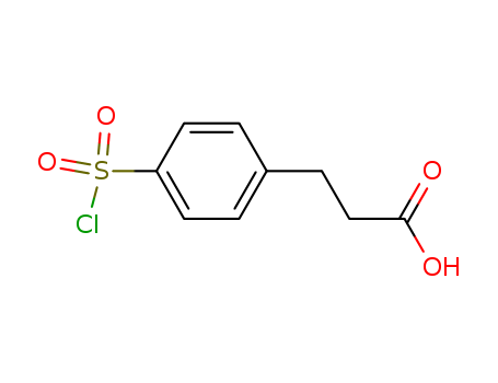 3-(4-(Chlorosulfonyl)phenyl)propanoic acid 63545-54-0