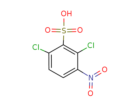 2,6-dichloro-3-nitrobenzene-1-sulfonic acid