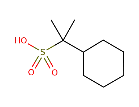 2-cyclohexyl-propane-2-sulphonic acid