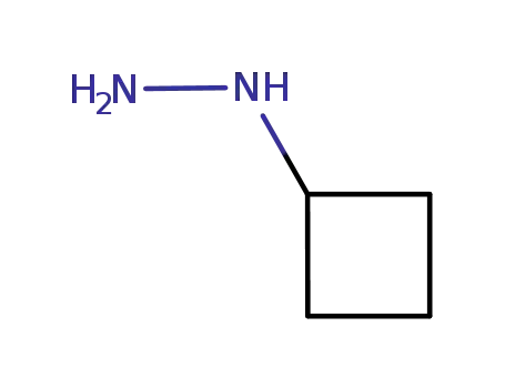 Molecular Structure of 742673-64-9 (CYCLOBUTYLHYDRAZINE)