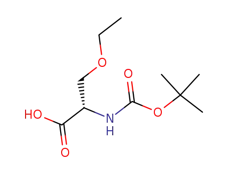 Molecular Structure of 104839-00-1 ((S)-N-BOC-2-AMINO-3-ETHOXY-PROPIONIC ACID)