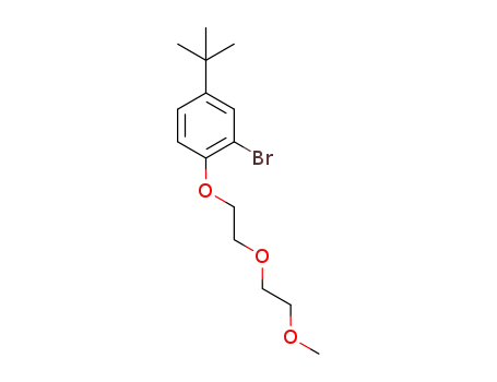 Molecular Structure of 1407968-87-9 (2-bromo-4-tert-butyl-1-[2-(2-methoxyethoxy)ethoxy]benzene)