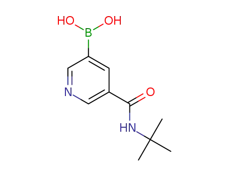 Molecular Structure of 913835-99-1 (5-(tert-Butylcarbamoyl)pyridine-3-boronic acid)