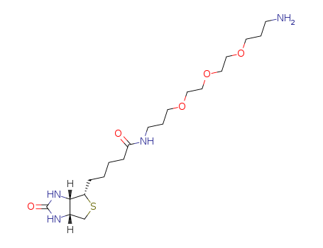 N-(13-amino-4,7,10-trioxatridecanyl)-D-biotinamide