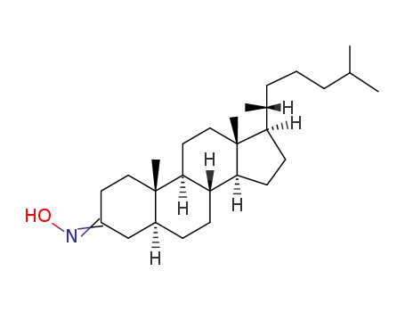 5alpha-Cholestanone oxime