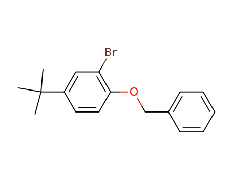 1-Benzyloxy-2-broMo-4-t-butylbenzene