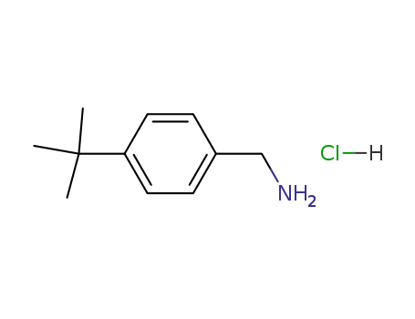 Molecular Structure of 59528-30-2 (Benzenemethanamine, 4-(1,1-dimethylethyl)-, hydrochloride)