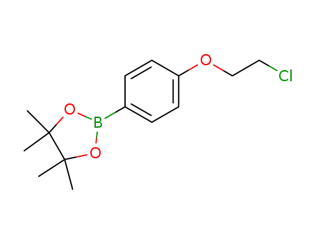 Molecular Structure of 1256359-01-9 (4-(2-Chloro-ethoxy)-phenyl-4,4,5,5-tetraMethyl-1,3,2dioxaborolane)