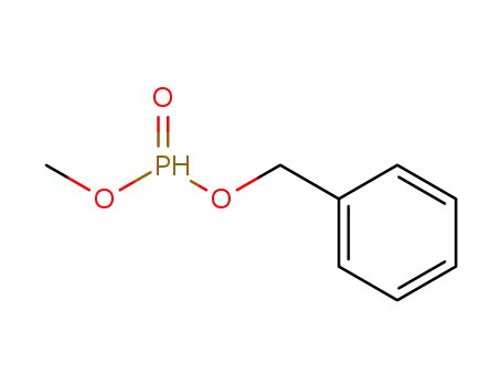Molecular Structure of 53148-24-6 (benzyl methyl phosphonate)