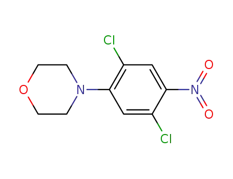 Molecular Structure of 1023311-12-7 (4-(2,5-dichloro-4-nitro-phenyl)-morpholine)
