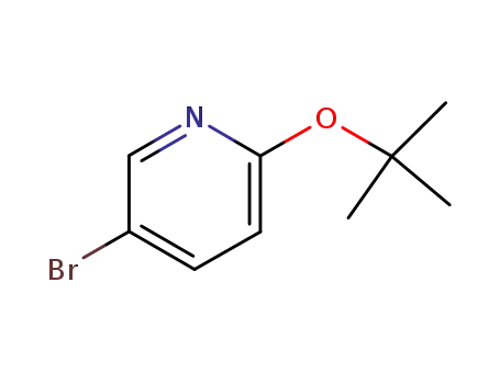 5-브로모-2-테르트-부톡시-피리딘