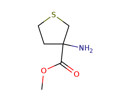 3-티오펜카르복실산,3-아미노테트라히드로-,메틸에스테르(9CI)