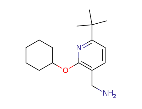Molecular Structure of 935519-86-1 (C-(6-tert-butyl-2-cyclohexyloxy-pyridin-3-yl)-methylamine)