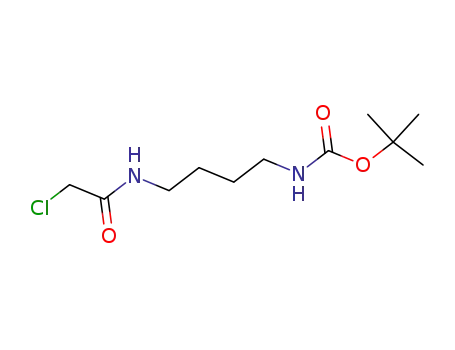 Molecular Structure of 133264-58-1 ([4-(2-chloro-acetylamino)-butyl]-carbamic acid tert-butyl ester)