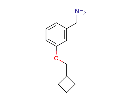 Molecular Structure of 1061650-69-8 ((3-(cyclobutylMethoxy)phenyl)MethanaMine)