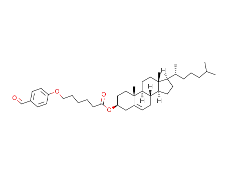 250210-28-7