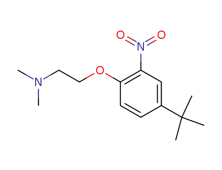 Molecular Structure of 453562-50-0 (Ethanamine, 2-[4-(1,1-dimethylethyl)-2-nitrophenoxy]-N,N-dimethyl-)