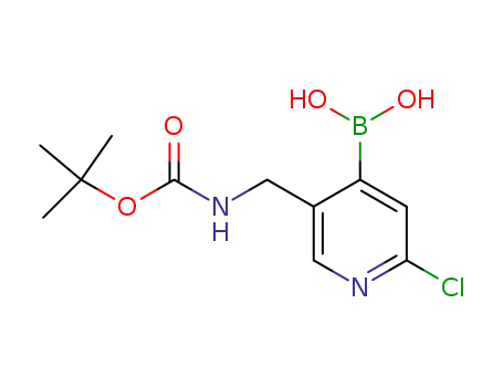 Molecular Structure of 1006689-23-1 (5-(tert-butoxycarbonylamino)-2-chloropyridin-4-ylboronic acid)