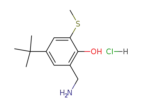 Molecular Structure of 61626-89-9 (Phenol, 2-(aminomethyl)-4-(1,1-dimethylethyl)-6-(methylthio)-,
hydrochloride)