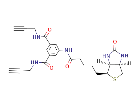 S-D-biotinoyl-5-amino-N,N'-di-prop-2-ynyl-isophthalamide