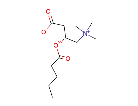 Molecular Structure of 40225-14-7 (Valeroyl carnitine)