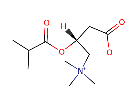(3R)-3-(2-methylpropanoyloxy)-4-trimethylazaniumylbutanoate