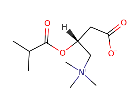 Molecular Structure of 25518-49-4 ((3R)-3-(2-methylpropanoyloxy)-4-trimethylazaniumylbutanoate)