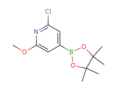2- 클로로 -6- 메 톡시 피리딘 -4- 붕소 산 피나 콜 에스테르
