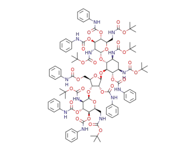 1203669-95-7 Structure