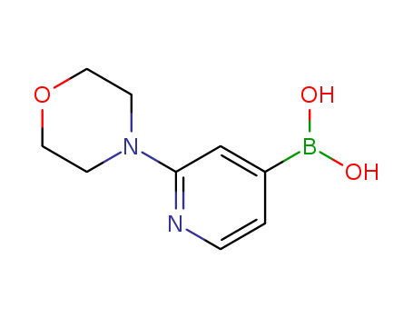 2-Morpholinopyridine-4-boronic acid