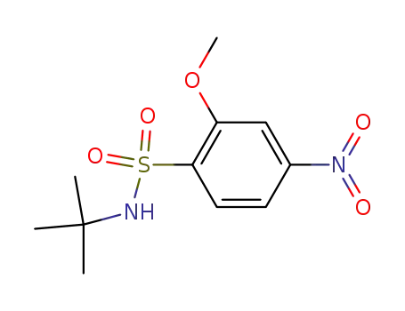 N-tert-Butyl-2-methoxy-4-nitro-benzenesulfonamide