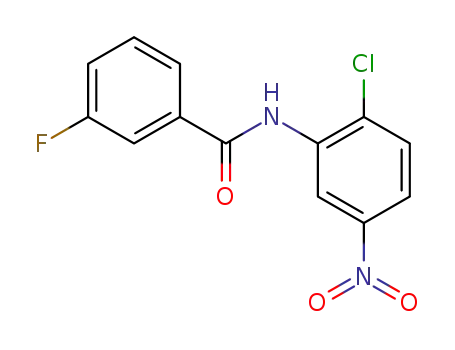 Molecular Structure of 544701-78-2 (N-(2-chloro-5-nitrophenyl)-3-fluorobenzamide)