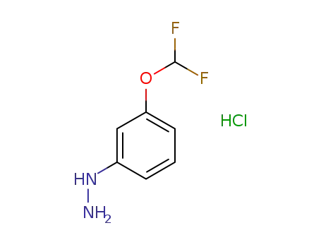 Molecular Structure of 479581-64-1 ((3-(difluoromethoxy)phenyl)hydrazine hydrochloride)