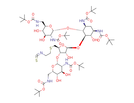 neomycin thioisocyanate