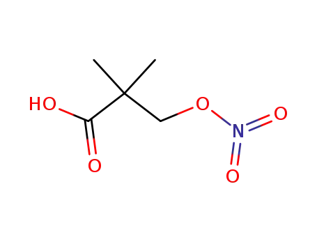 2,2- 디메틸 -3- (니트로 옥시) 프로판 산